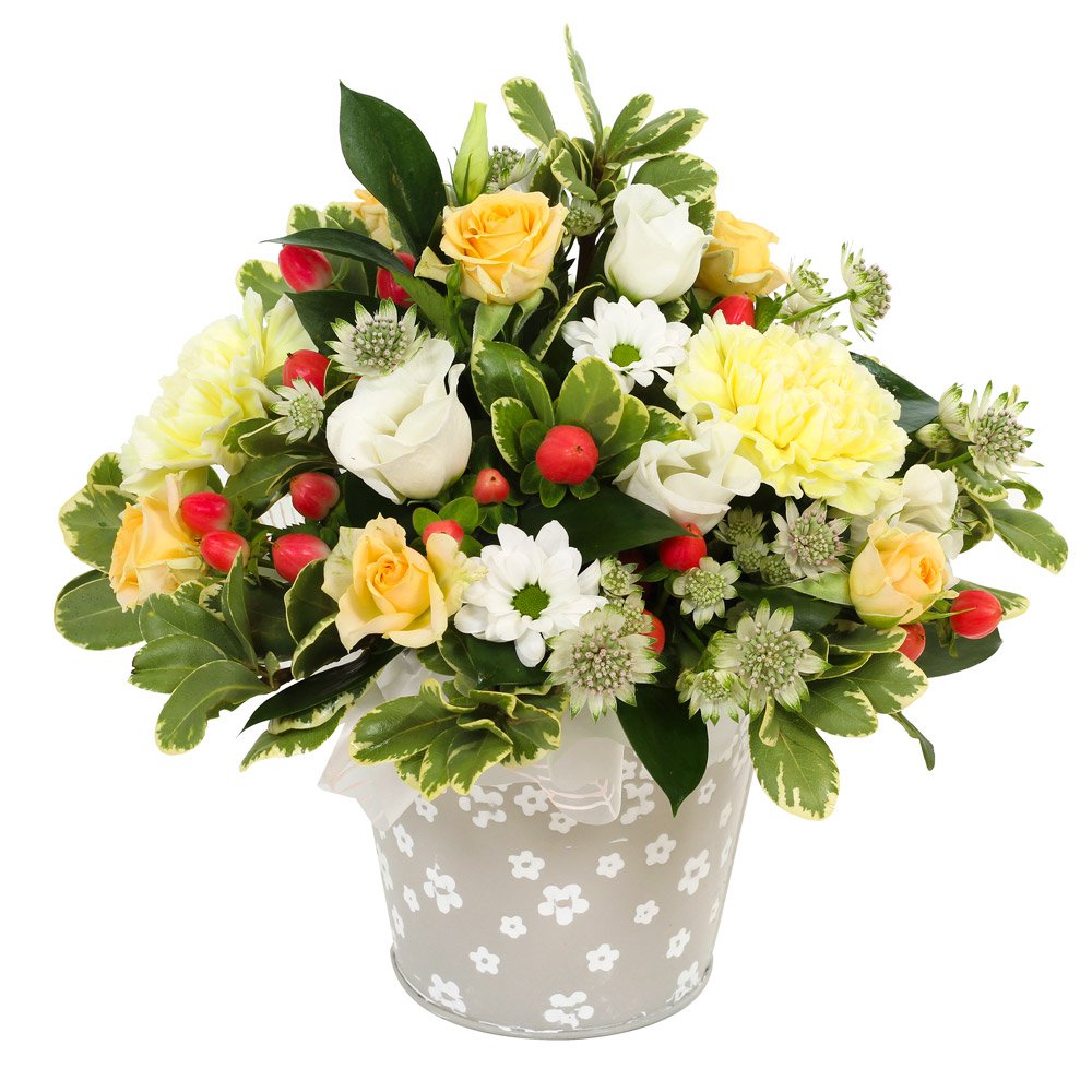 A New Day Flowers