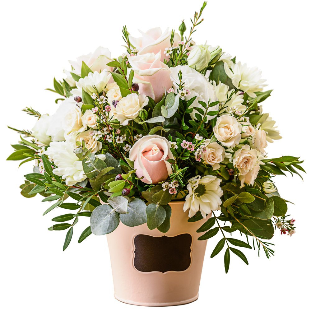Dawn Flowers
